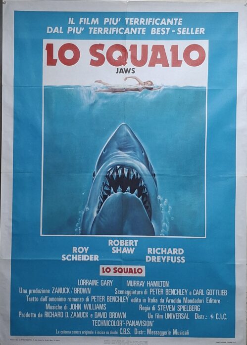 The shark