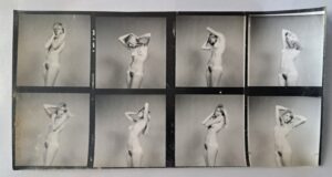 Fashion and model photo sheets