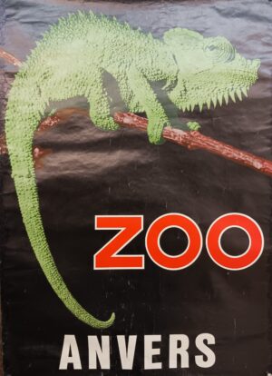 Zoo di Anversa, Belgio